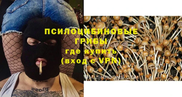 бошки Каменногорск