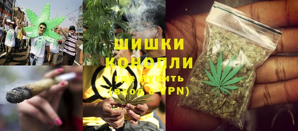 тгк Касимов