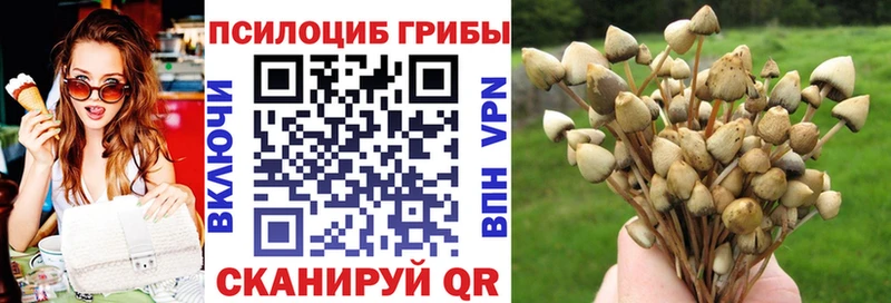 Галлюциногенные грибы мухоморы  Купить закладки  Горячий Ключ 